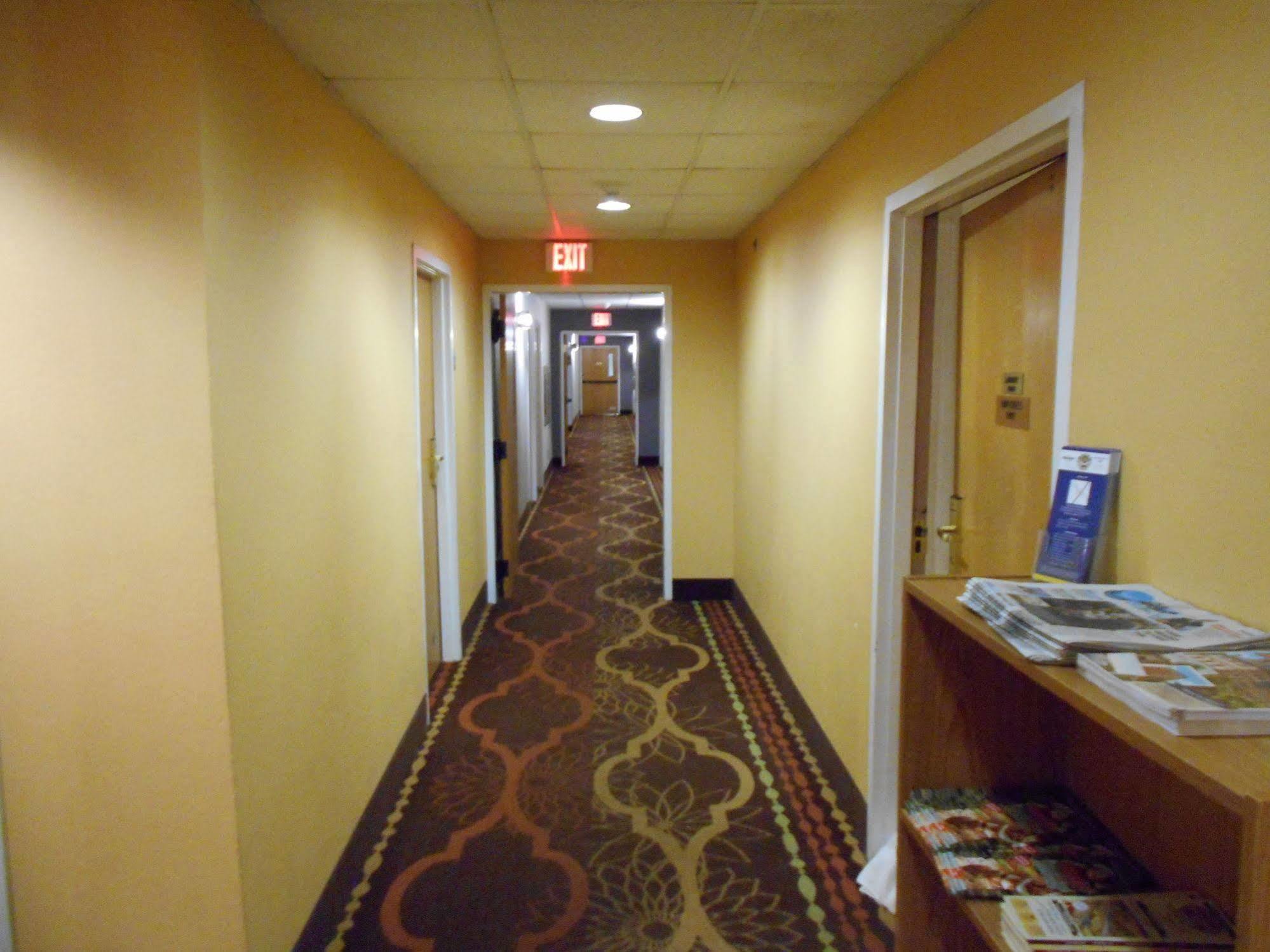 Microtel Inn By Wyndham - Albany Airport Latham Bagian luar foto